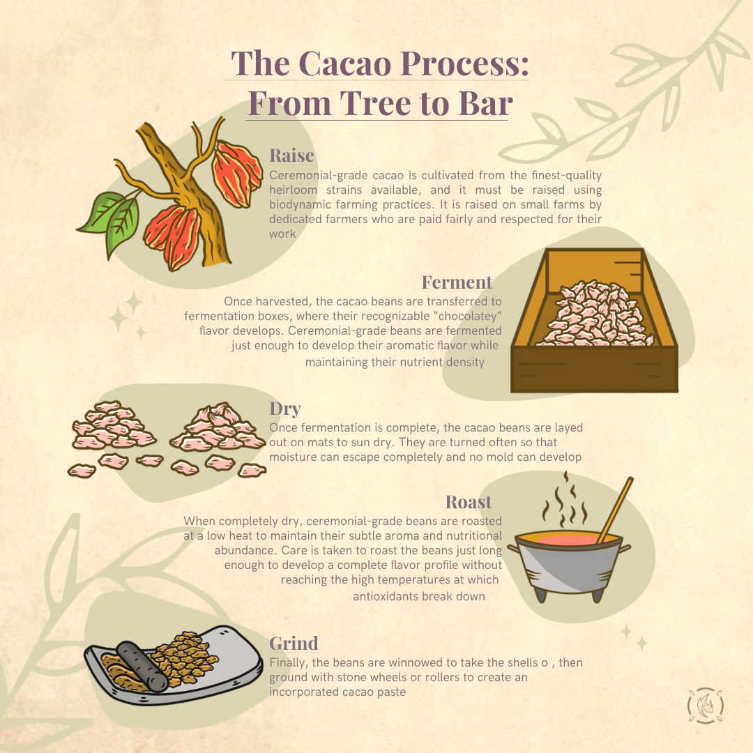 Cacao Laboratory