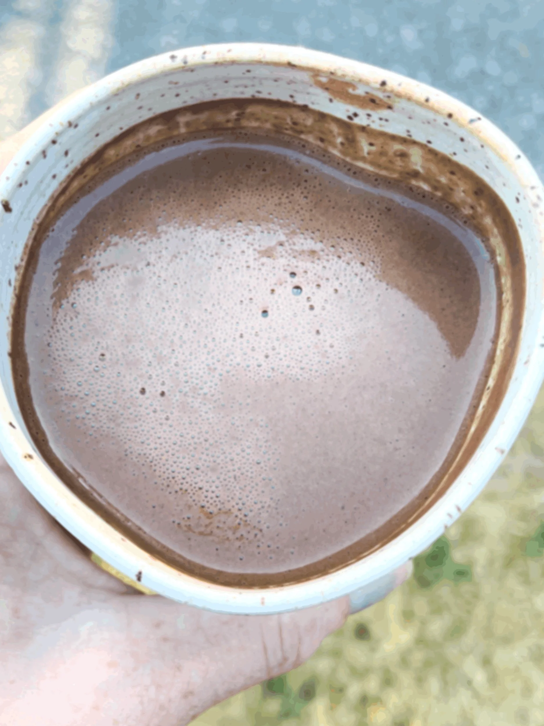 CACAO SARAH SEADS BENEFITS
