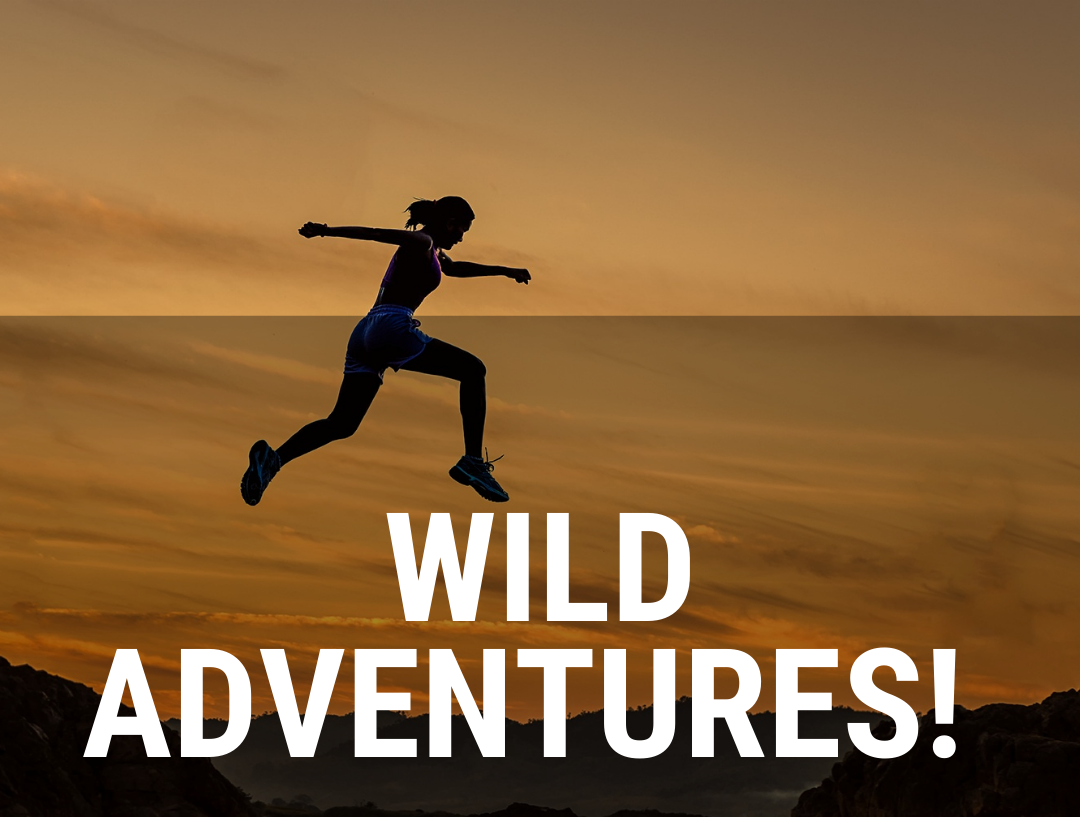 WILD+SEADS+COACHING+WILD+ADVENTURES.png
