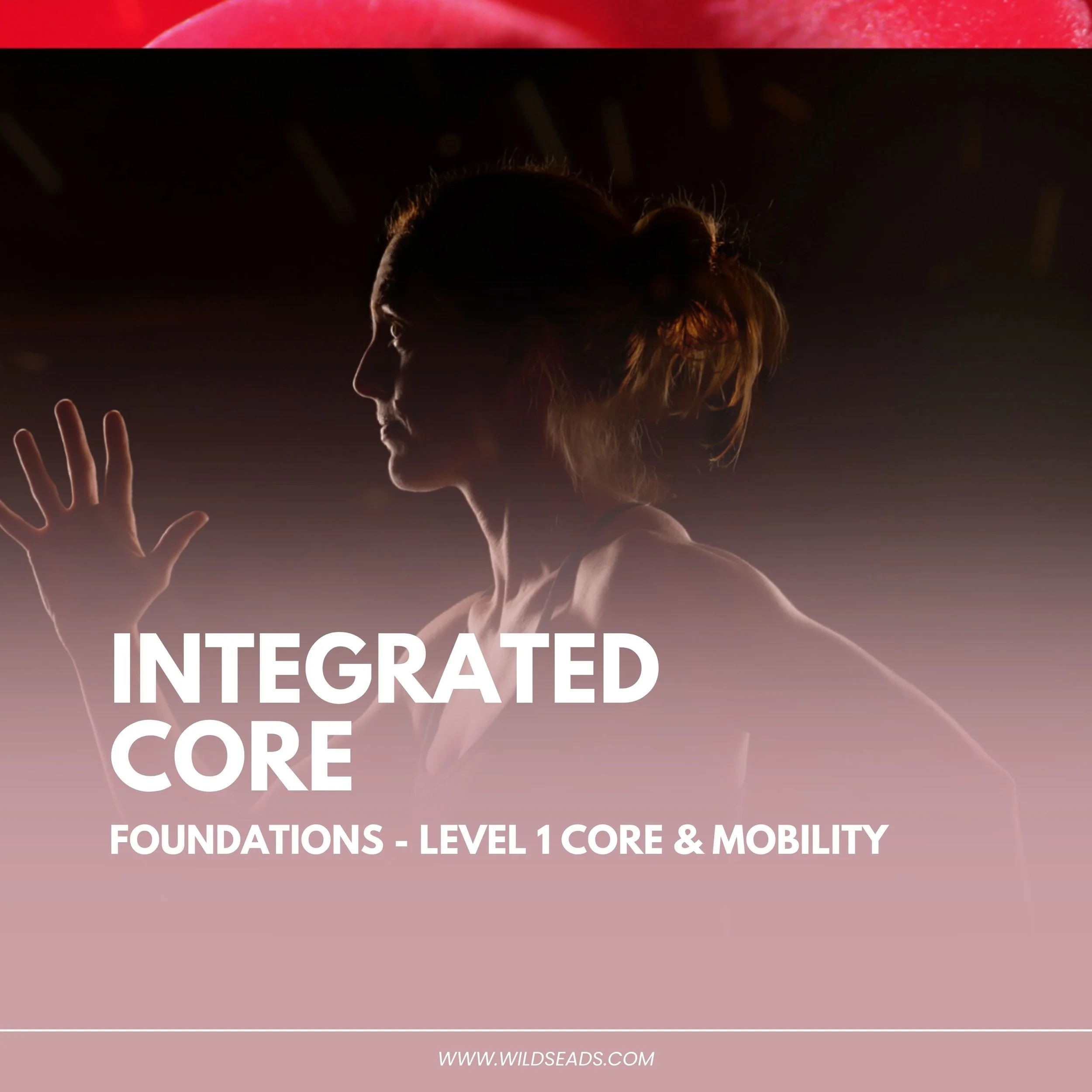 INTEGRATED CORE TRAINING PROGRAMS WITH SARAH SEADS. BC ATHLETES. CONDITIONED. RETURNING. BEGINNING. WITHOUT LIMITS.