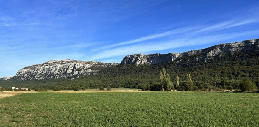 Screenshot 2025-12-31 at 11.38.01 PM.png