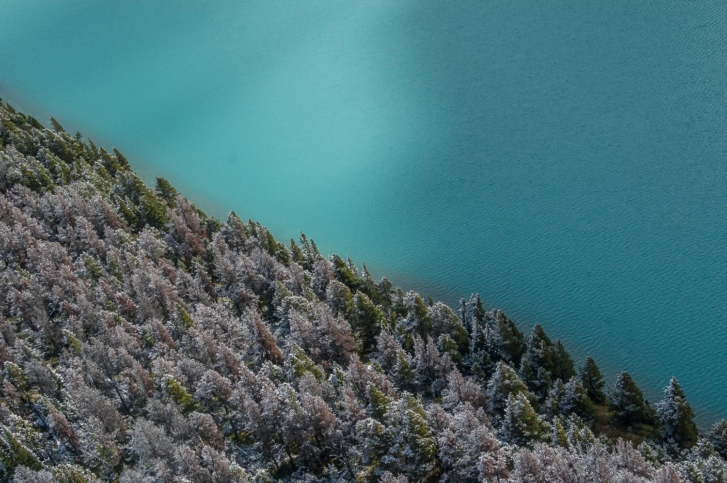 TYAX - TOP 100 NAT GEO CANADA INSTAGRAM IMAGES!