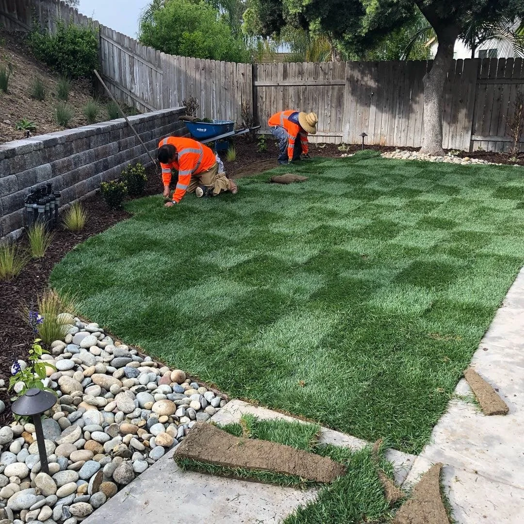 C21D41D3-BF5A-4FD6-92CE-FF0CDCFA4023 - Copy.jpeg