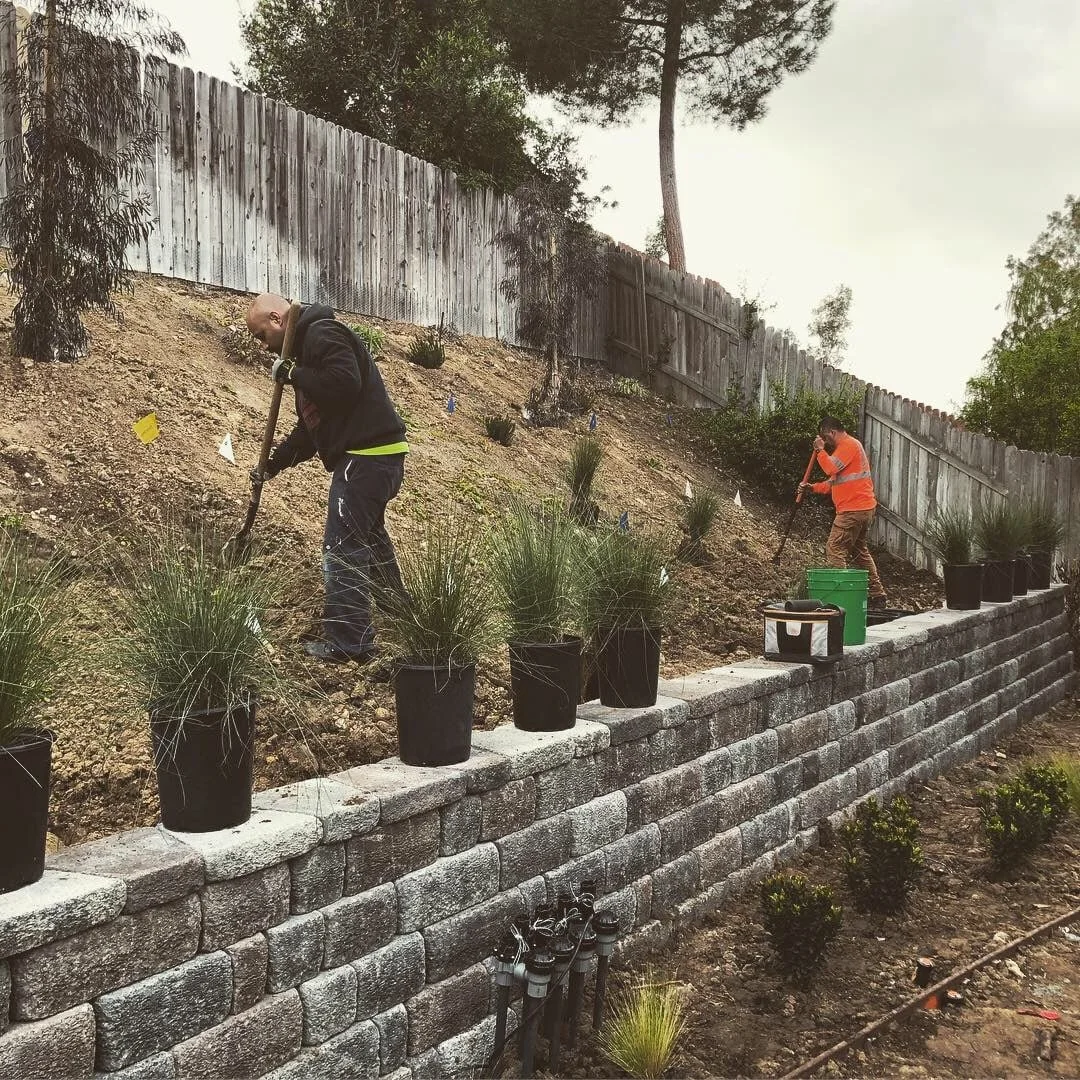 32505B3E-8D0E-4CB4-981D-C848170A561D - Copy.jpeg