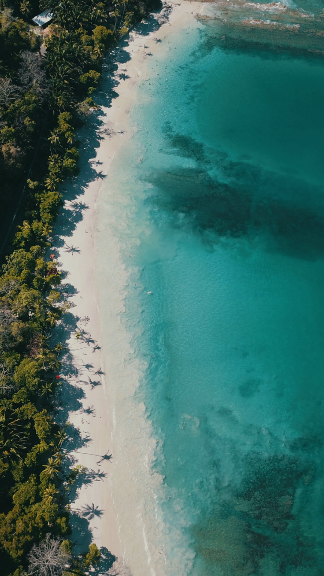 blue minimal quote phone wallpaper.PNG