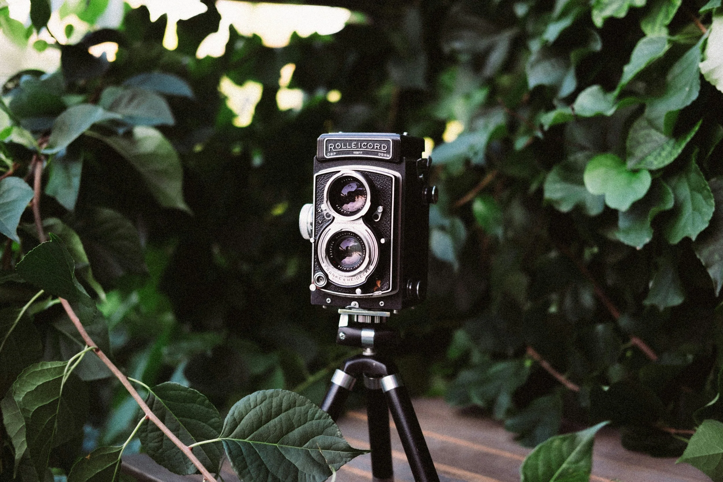 Camera.jpg