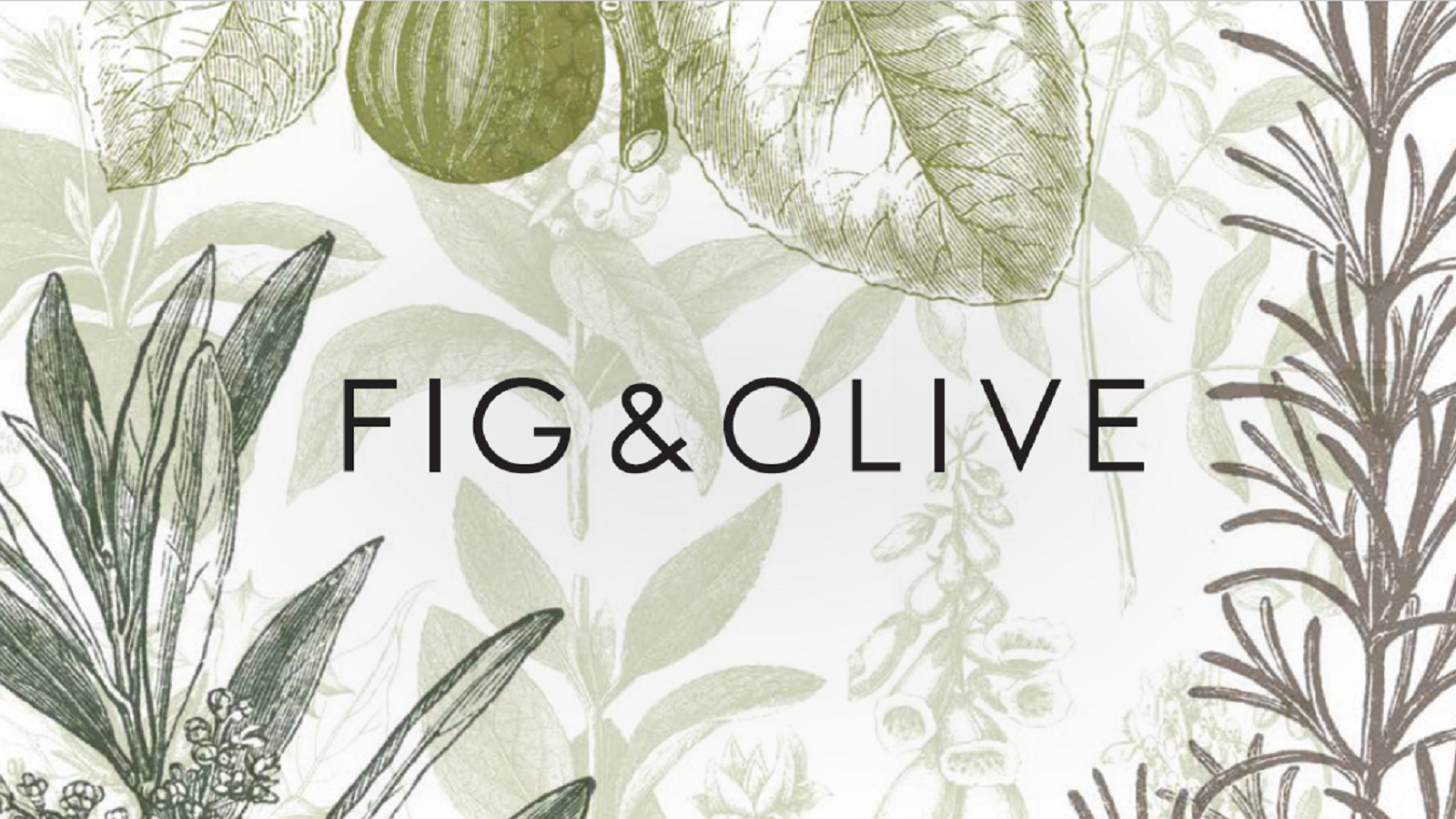 fig and olive 2.png