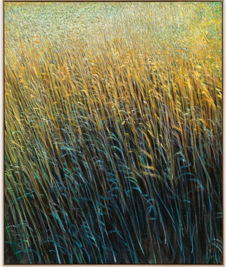 Screenshot+2023-07-06+at+11.05.49+AM.jpg