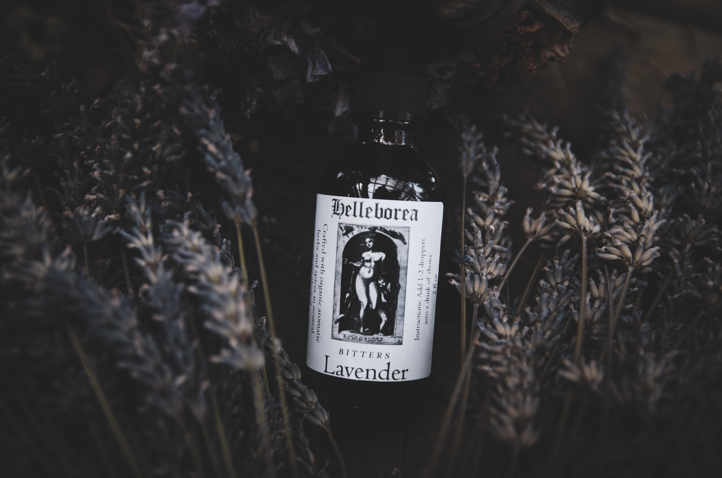 lavender helleborea.png