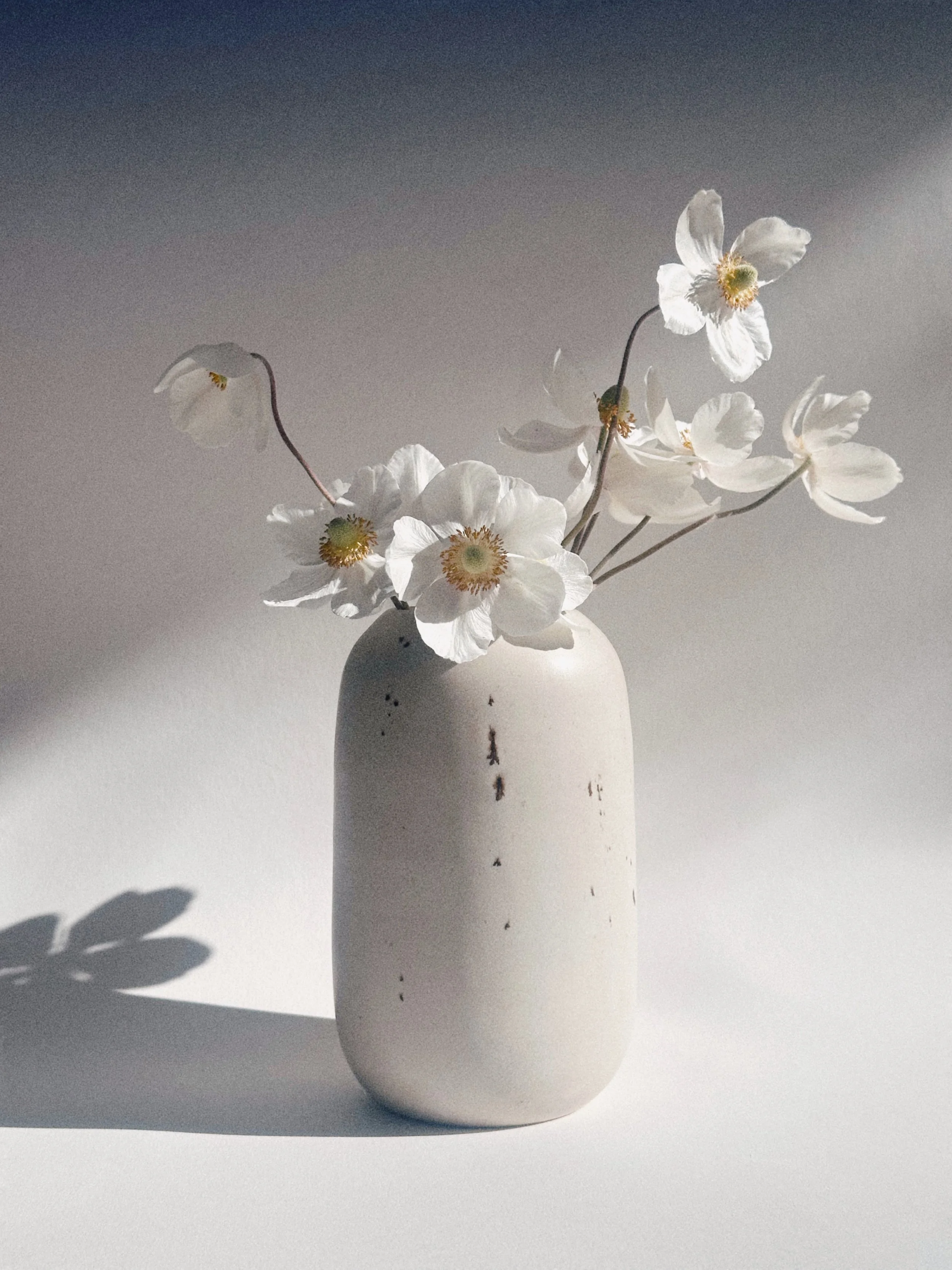 vase 'e m i'
