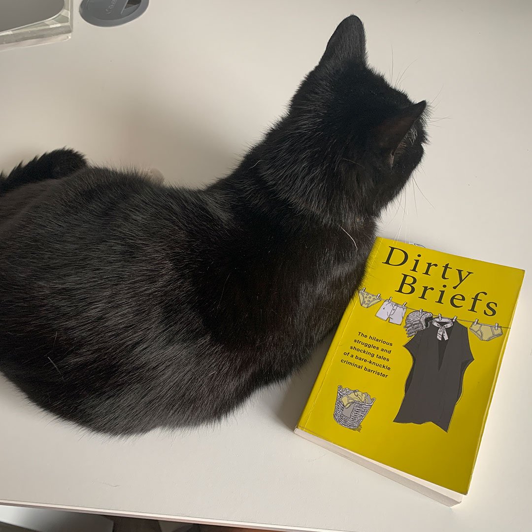 Dave-Fendem-Dirty-Briefs-Book-Launch-1080x1080px_pepsi-the-cat.jpg