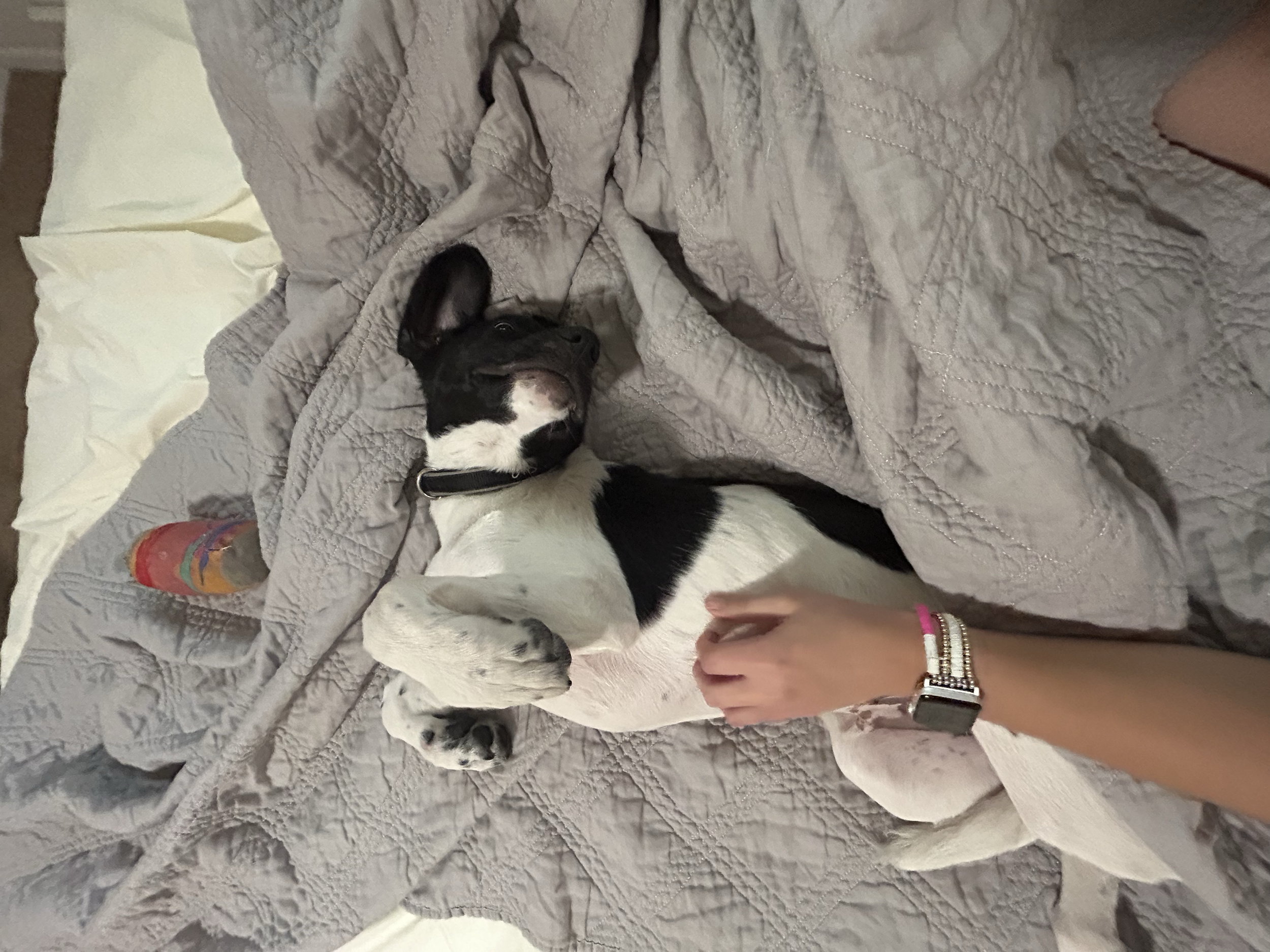 Otis