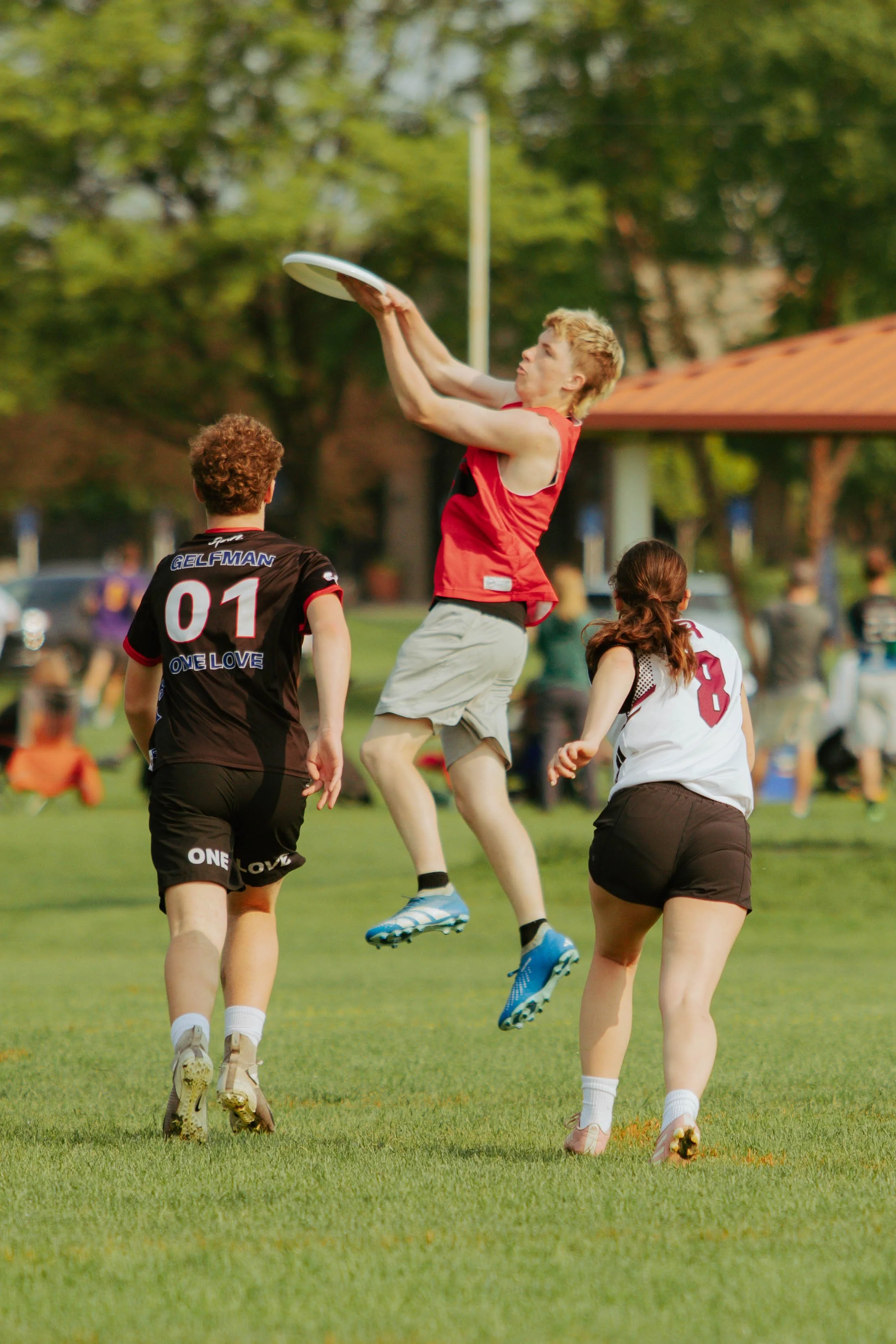 Sports: Ultimate 12.jpg