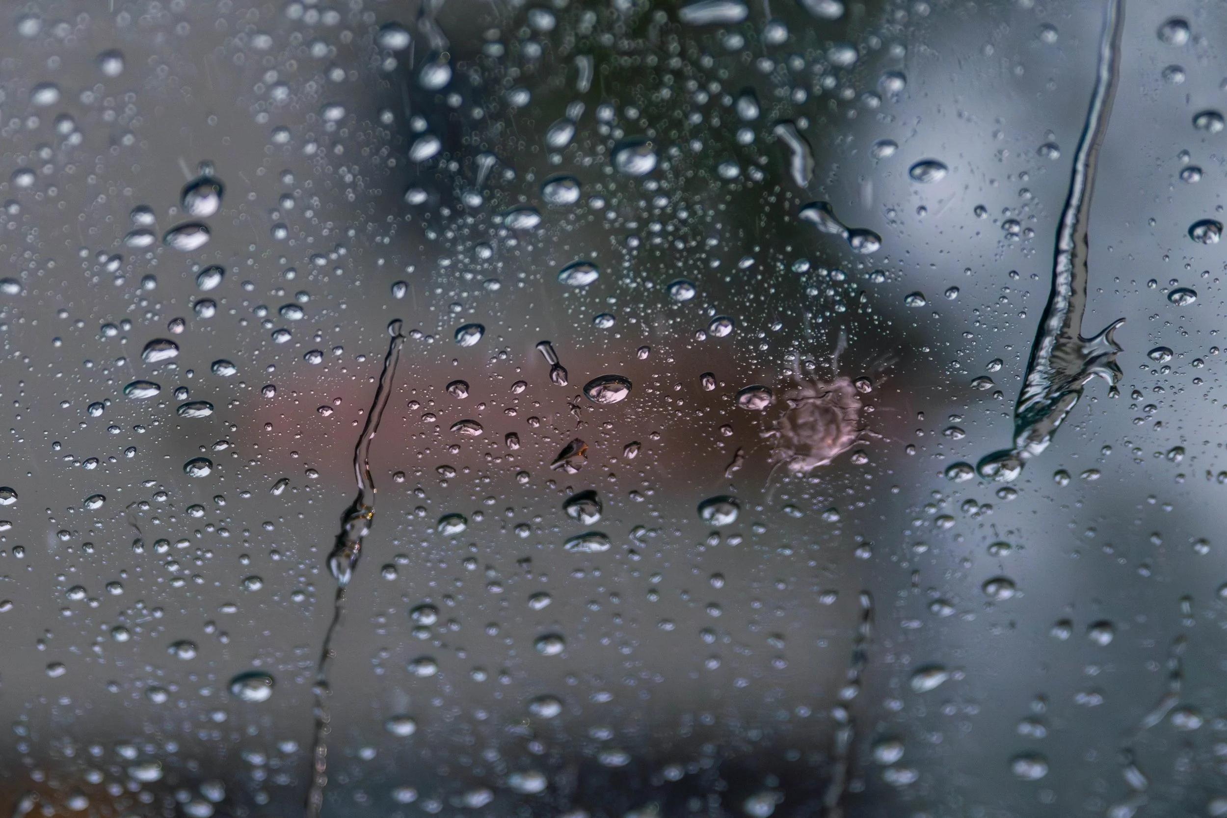 RAIN_6116.jpg