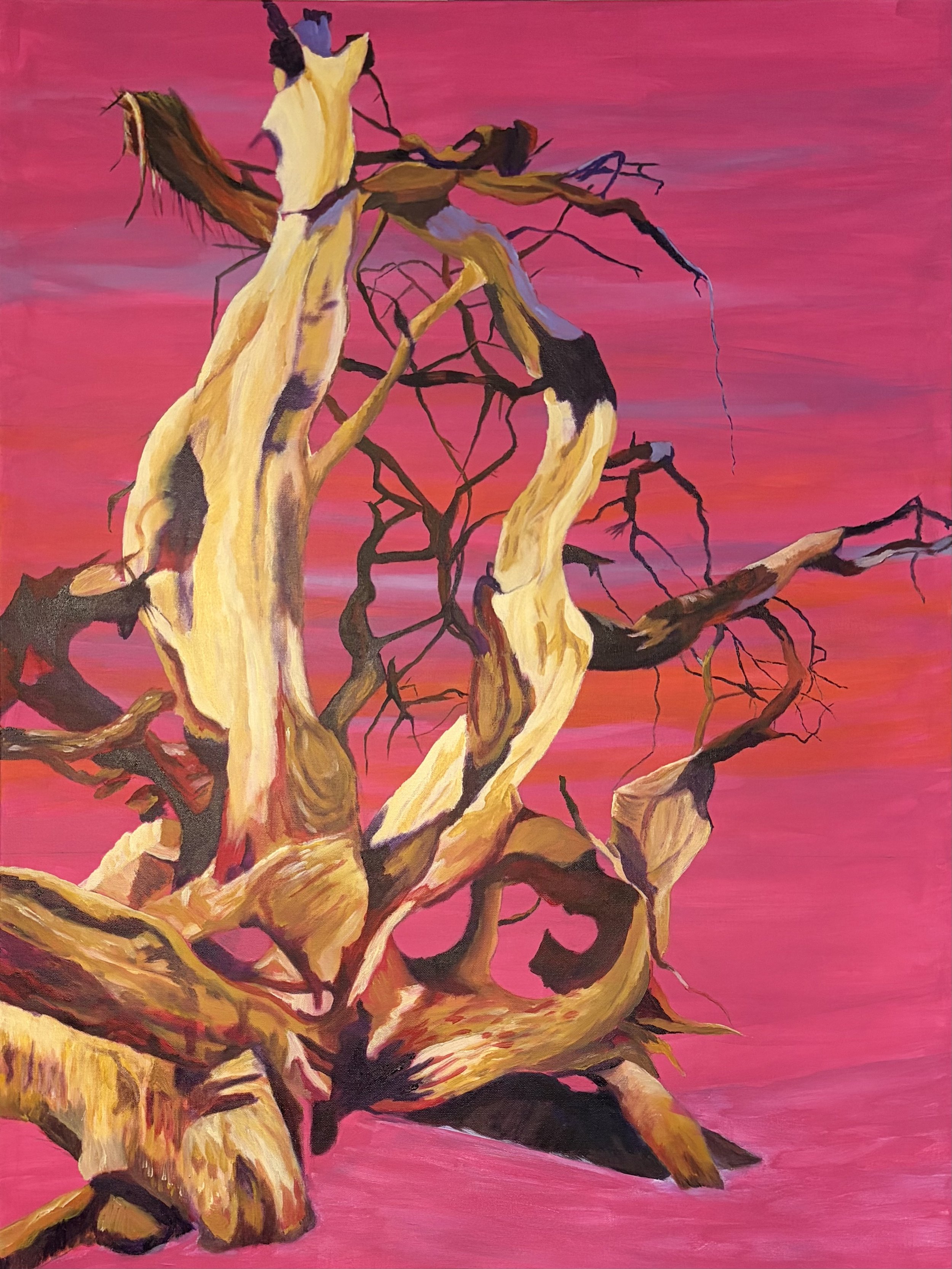 After The Last Rain, acrylic on canvas, 30x40" 2026