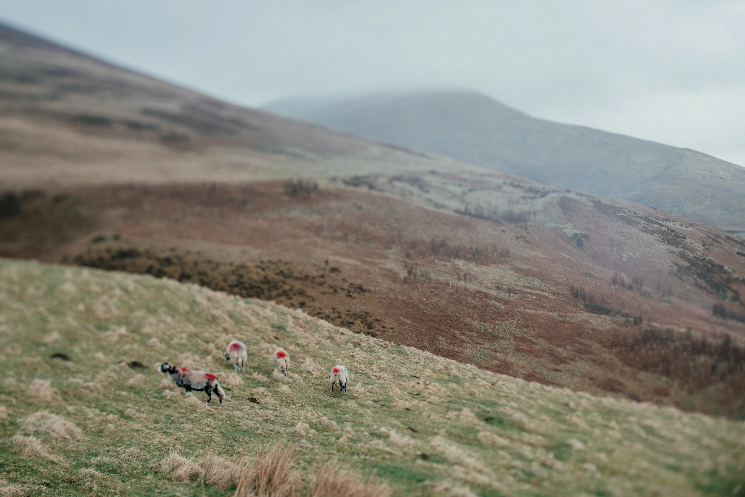 Near Keswick, Lake District | March 2026