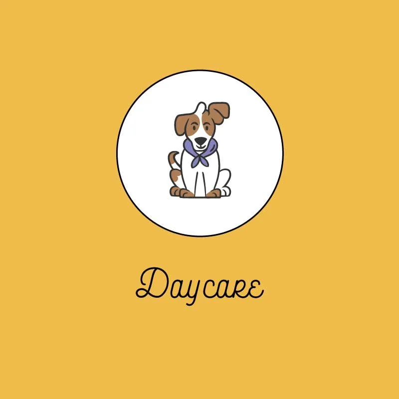 Beautiful Culver City Dog Boarding Abstract in HD Beautiful Culver City Dog Boarding Abstract in HD