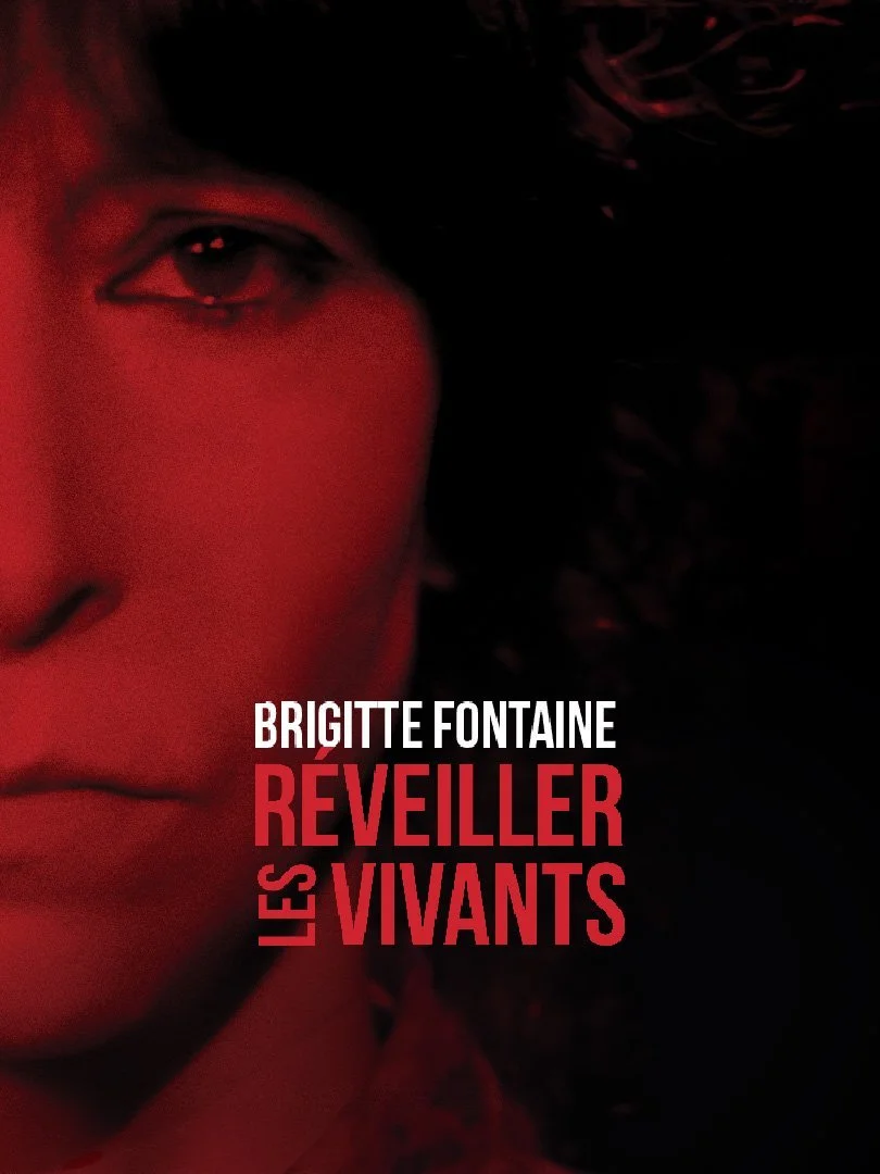 Affiche du documentaire Brigitte Fontaine, réveiller les vivants