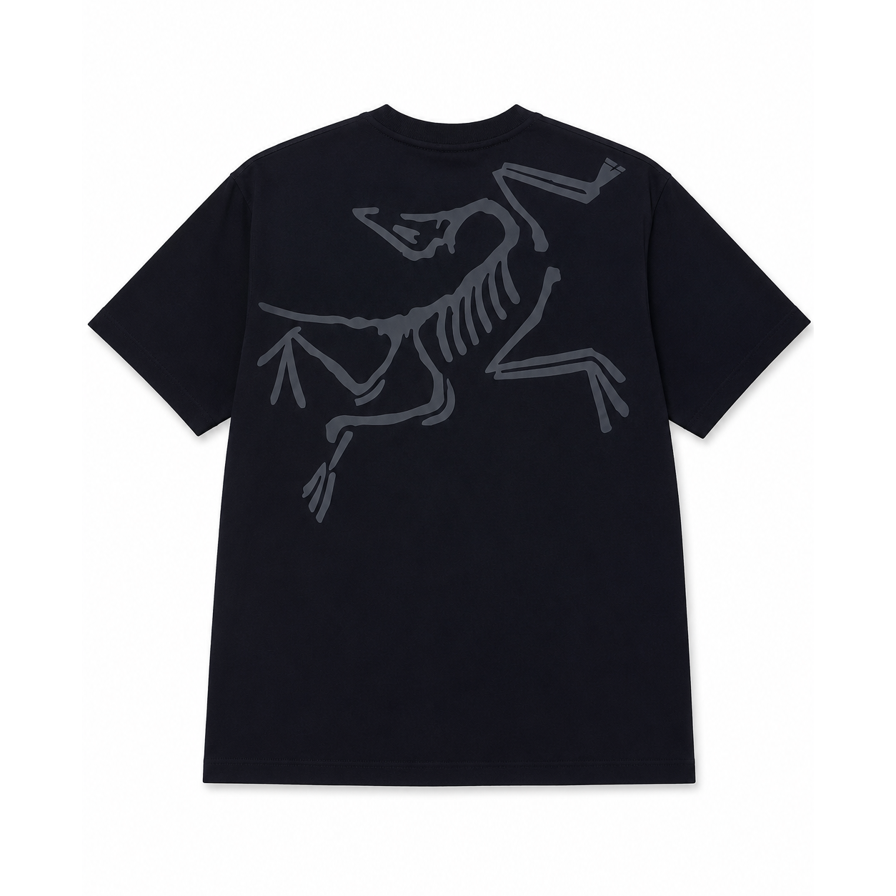 Arcteryx SL Bird T-Shirt