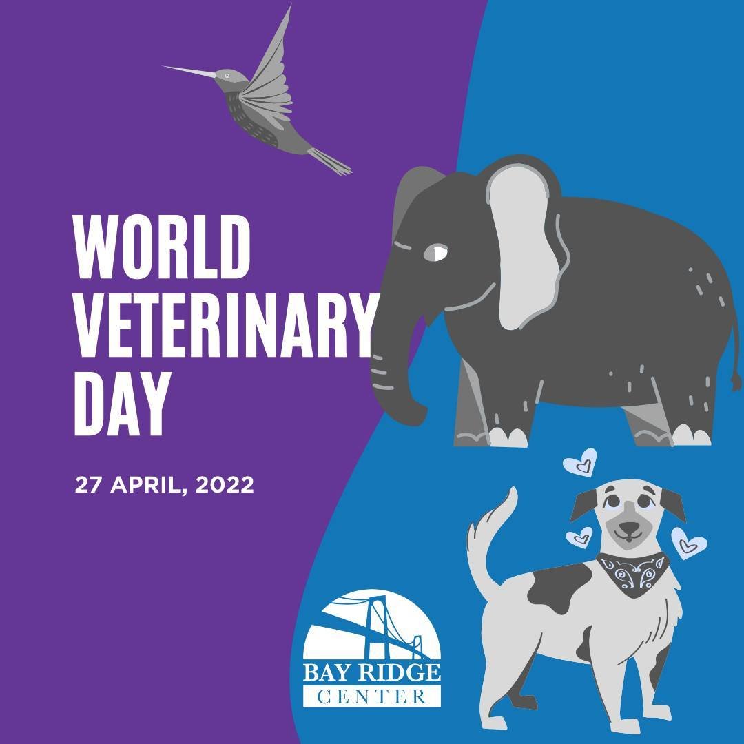 Happy World Veterinary Day!  Today, we celebrate the amazing work that vets do to keep our furry friends happy and healthy. From routine check-ups to emergency care, they're always there for us. Thank you to all the dedicated veterinarians out there 