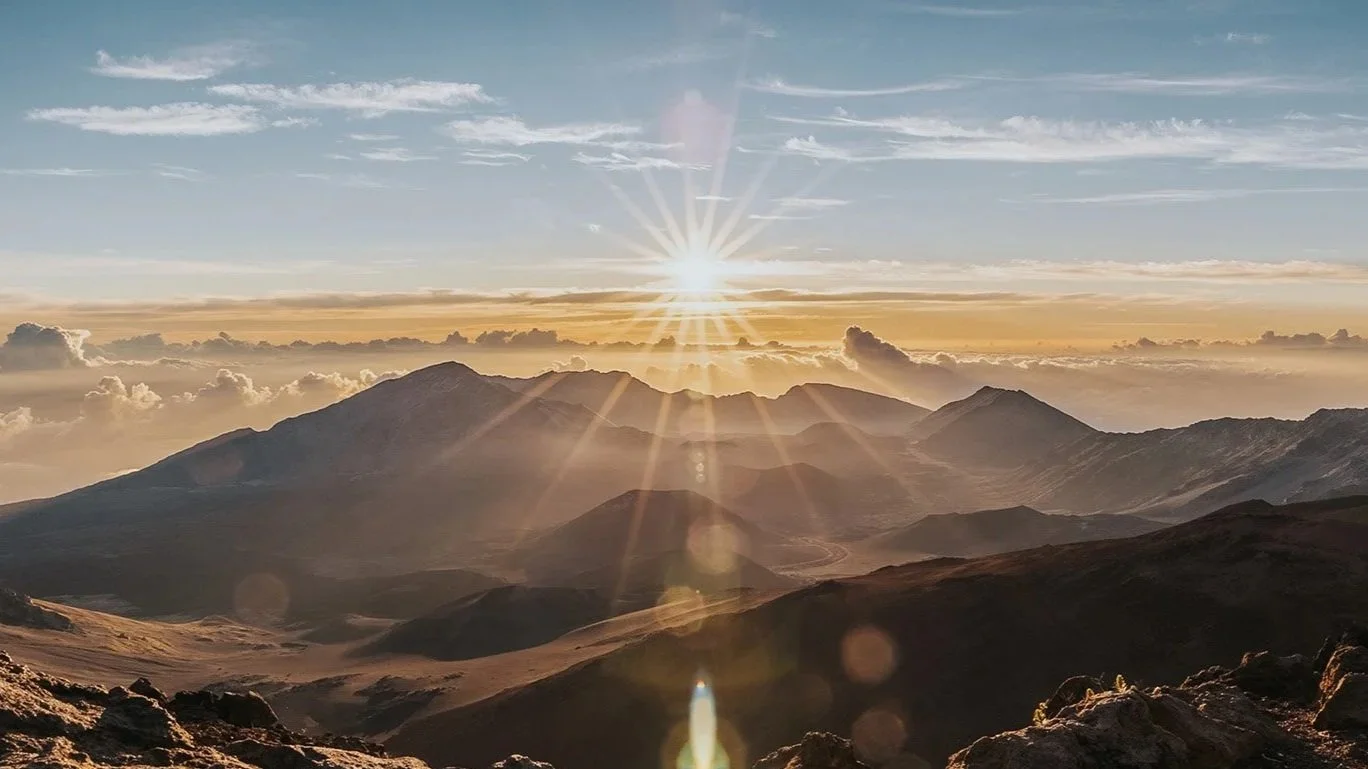 What’s Your Imago?