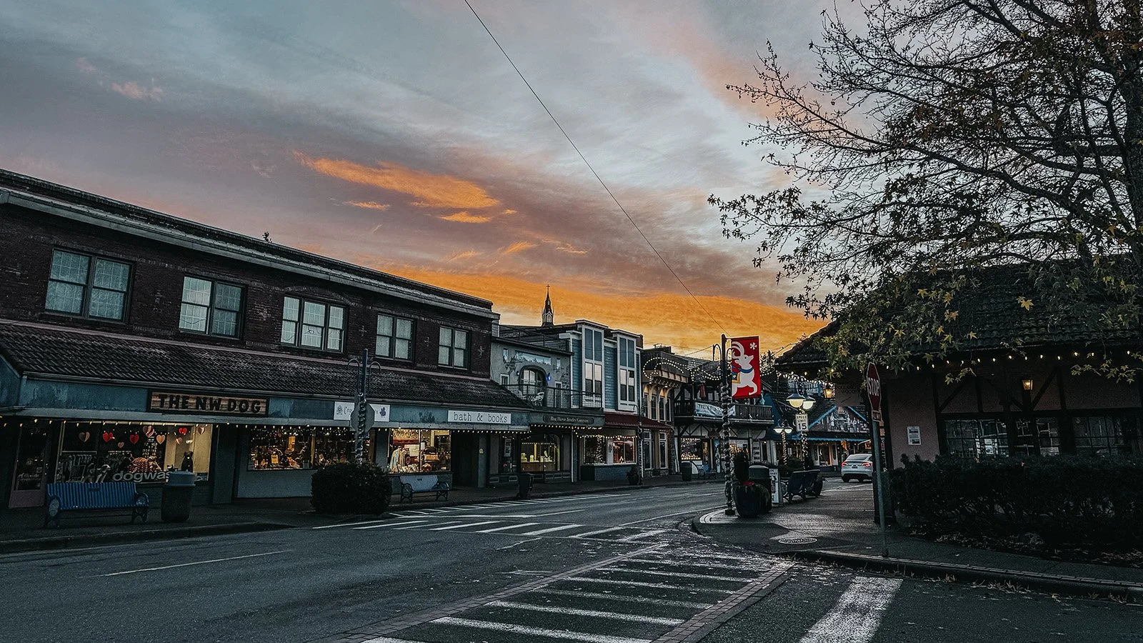 7 Reasons Sustainable Giving Changes How Nonprofit Leaders Start the Year 