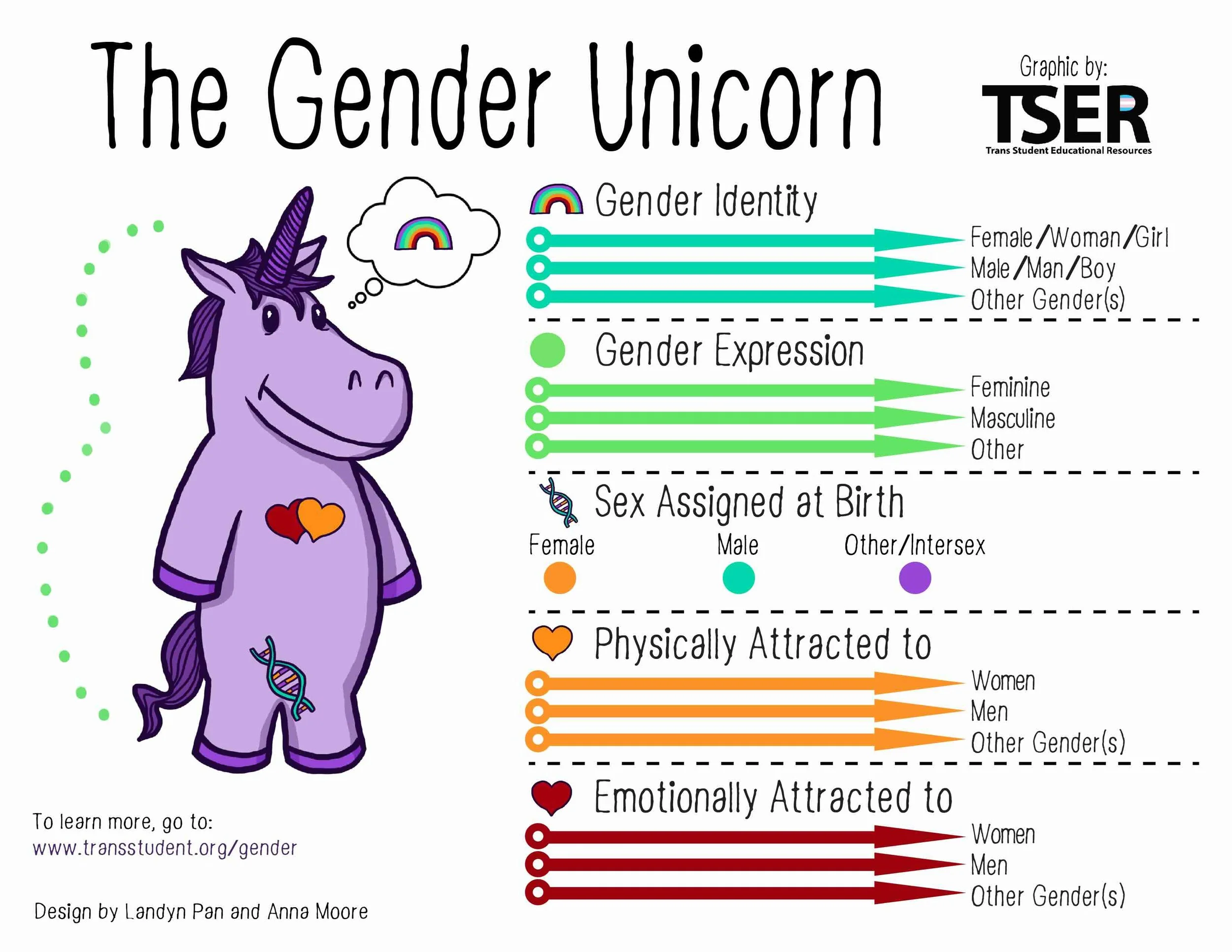 The “Gender Unicorn” is a popular infographic that illustrates how gender identity, gender expression, and attraction are distinct spectrums.