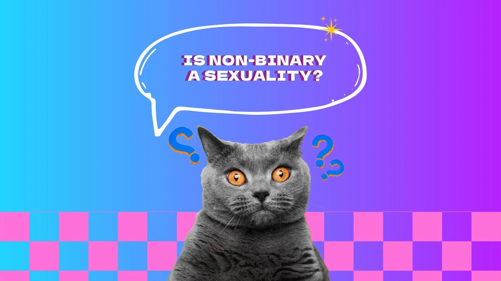 Is Non-Binary a Sexuality?