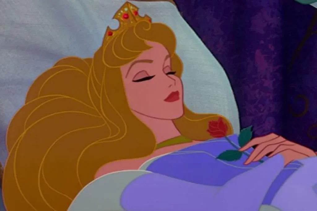 What Does Pillow Princess Mean?