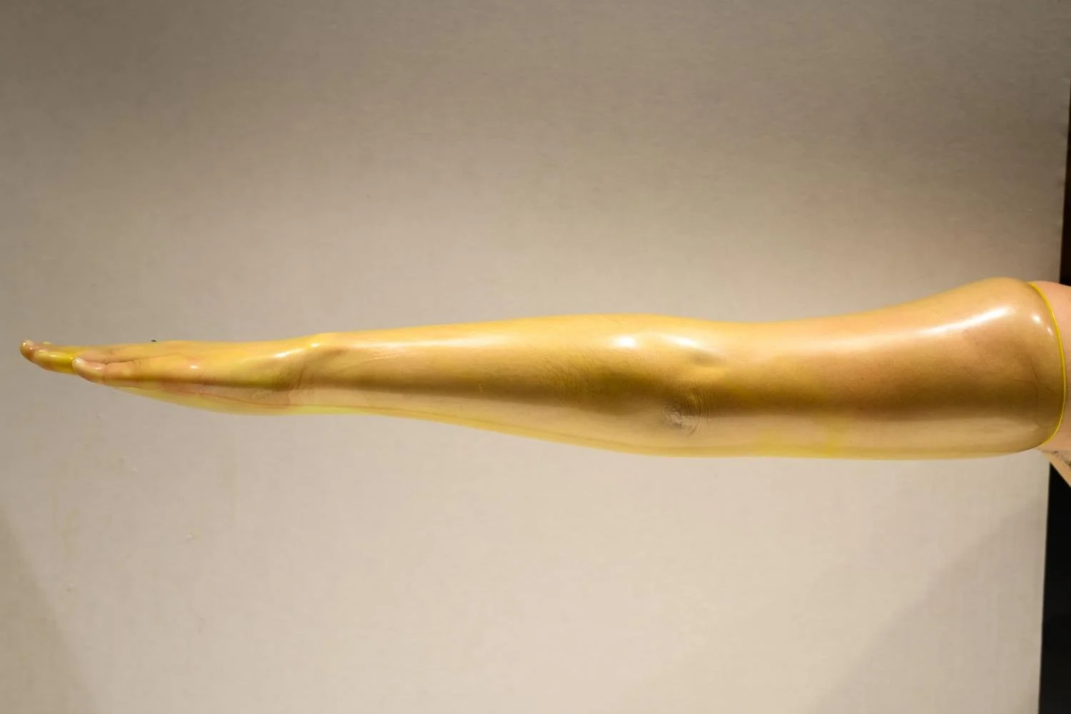 A Trustex condom stretched over an entire human arm, extending horizontally against a plain grey background. The condom remained intact throughout.
