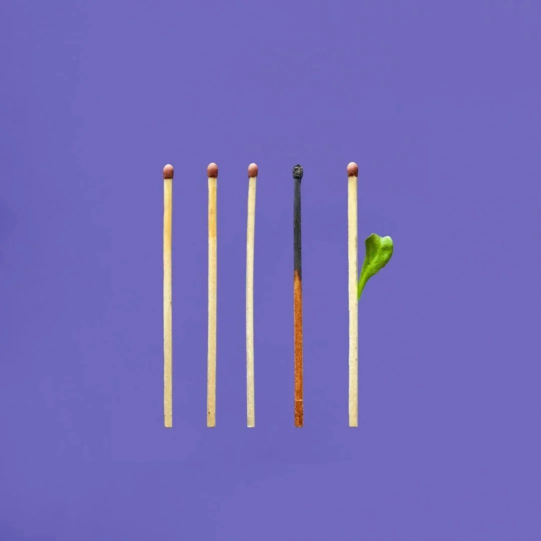 Five matches placed vertically with one burnt match in the center, and a small green sprout growing from the base of the rightmost matchstick.