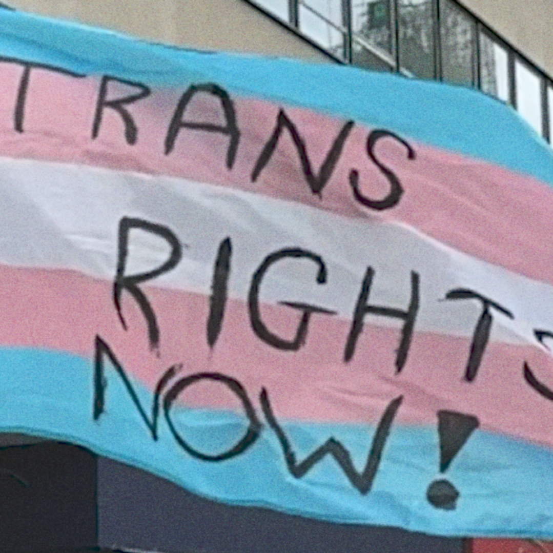Trans in the City Releases Trans+ Truths Video for IDAHOBLIT