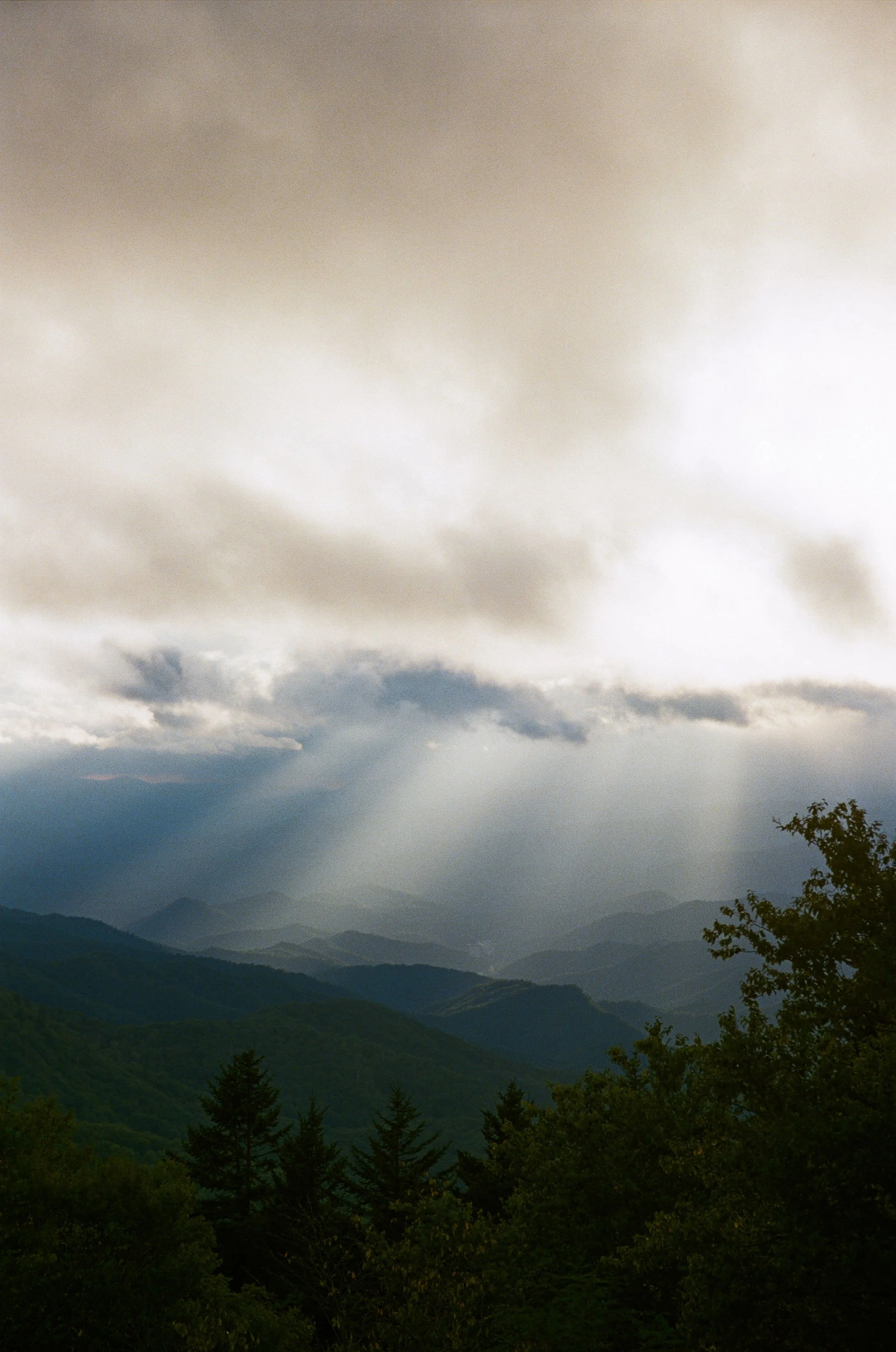 Navigating change and personal growth.
