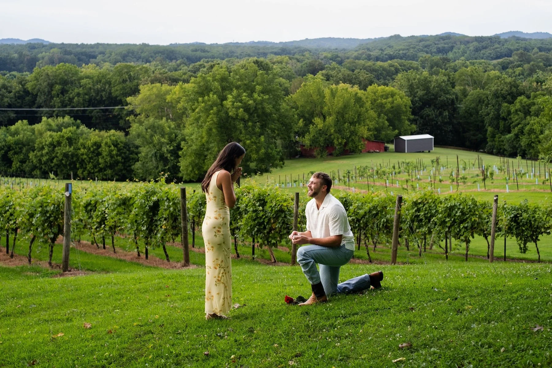 Nashville-Proposal-Photographer-9865.jpg