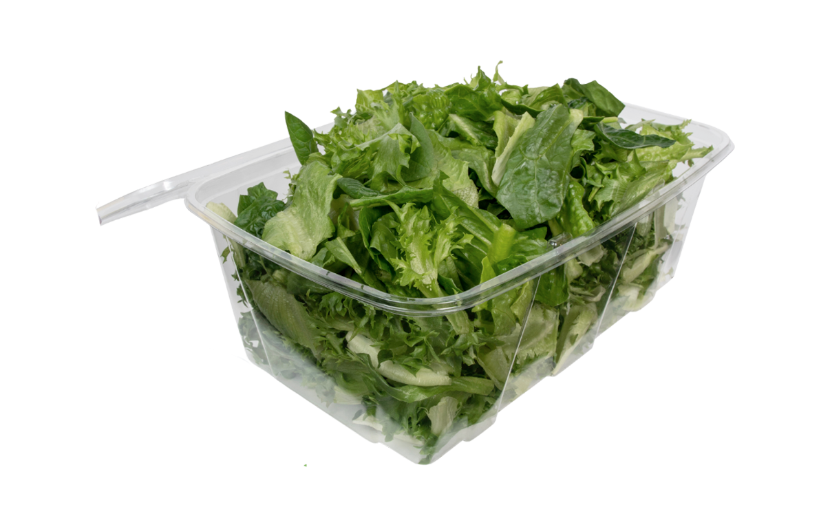 A clear plastic container filled with chopped green lettuce and leafy greens.