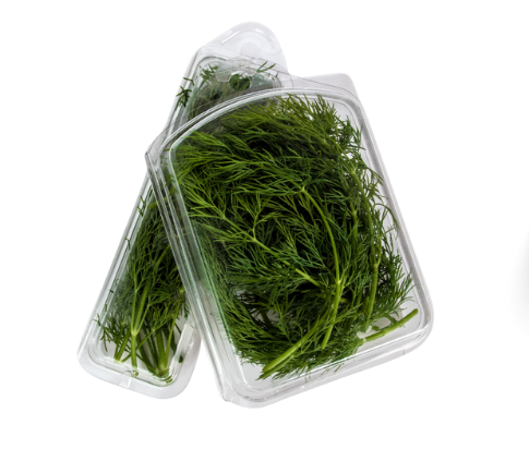 dill.png