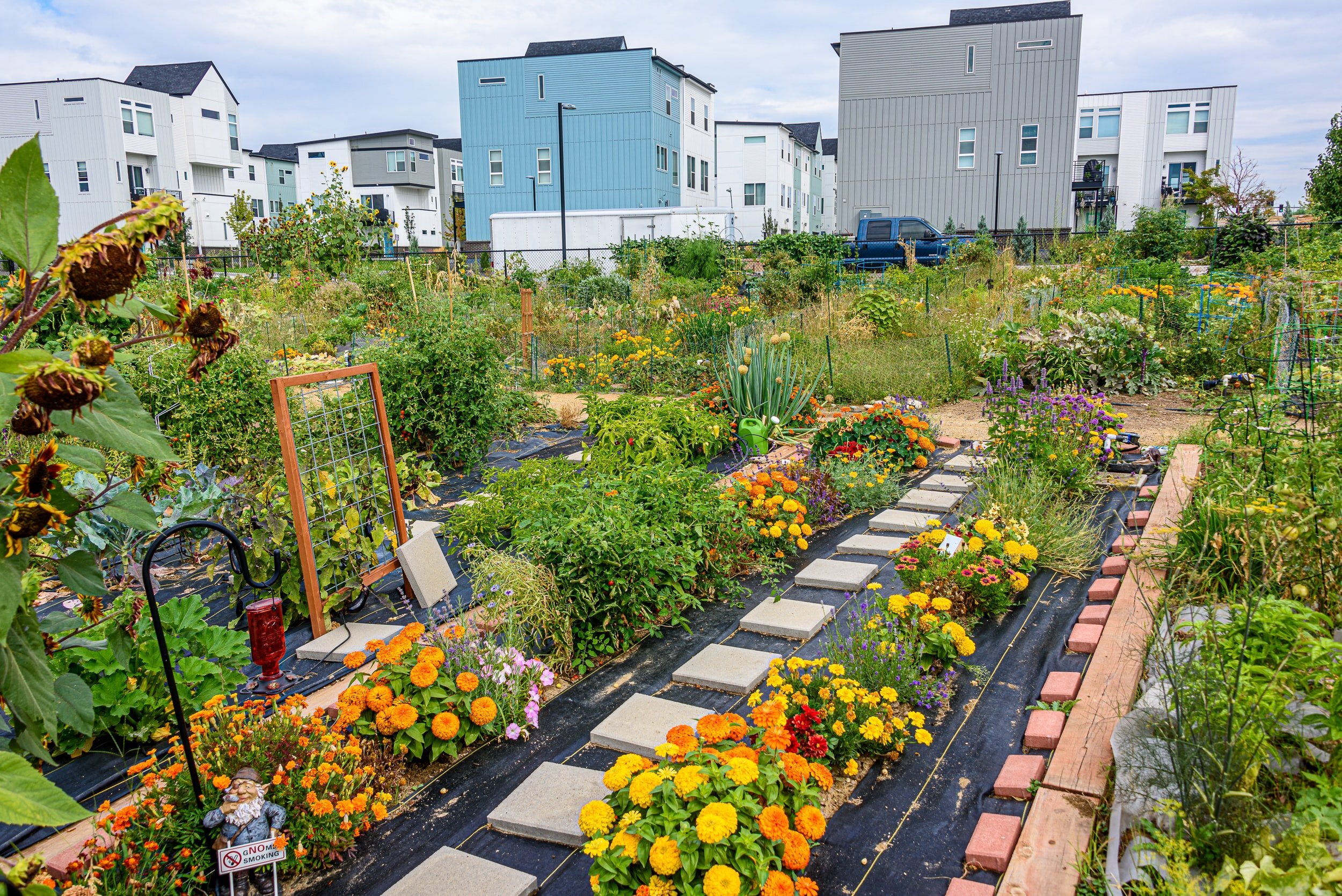 urban farm visit