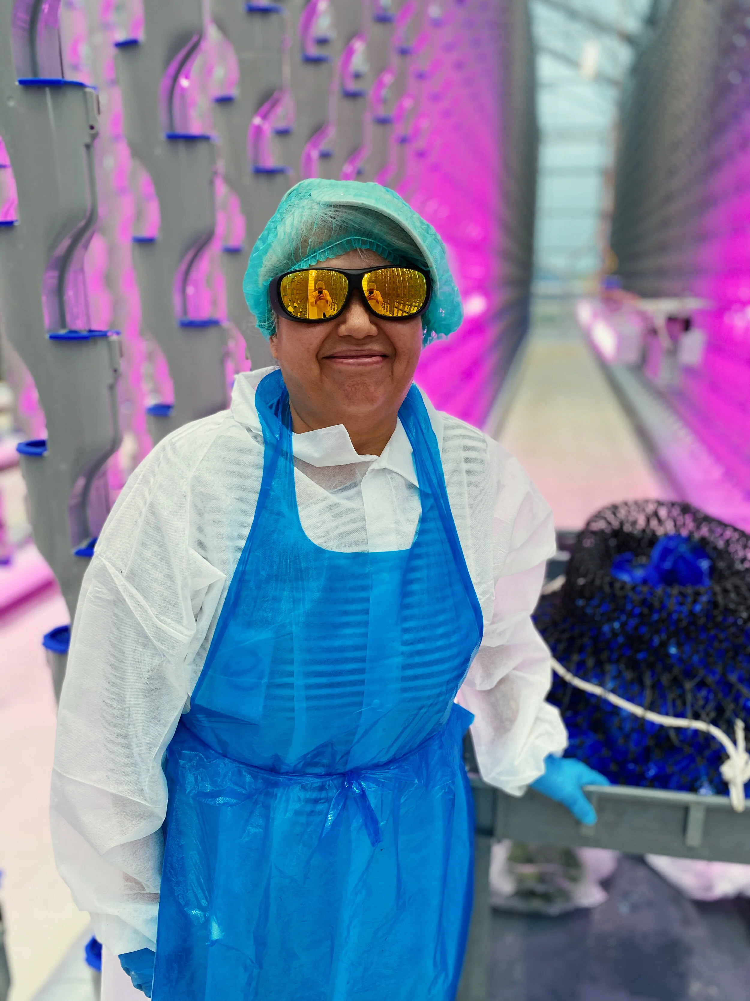 5 Exciting Vertical Farming Careers Eden Green