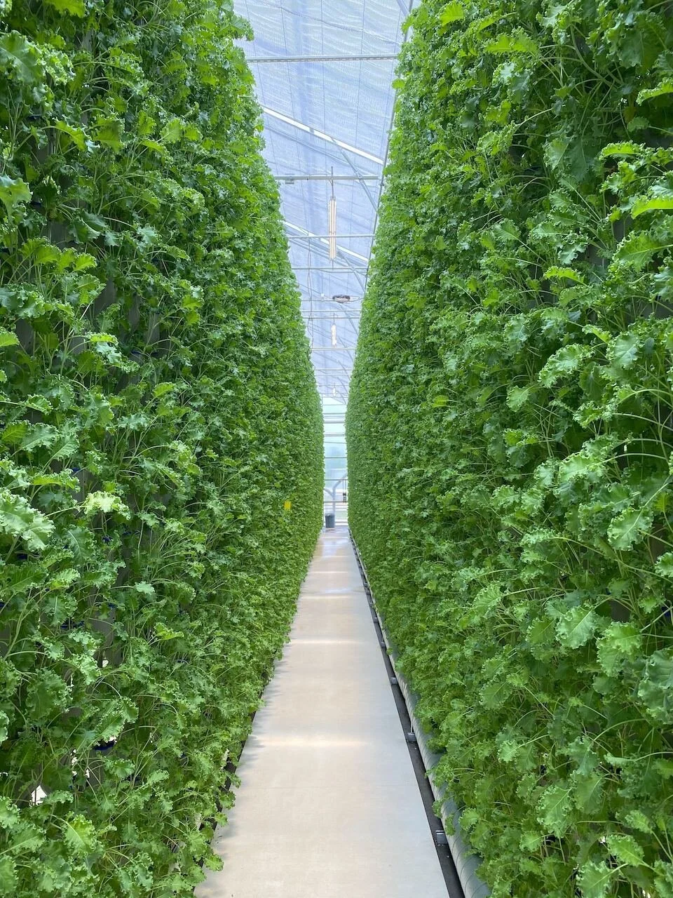 4 Ways to Fund Vertical Farming Ventures Eden Green