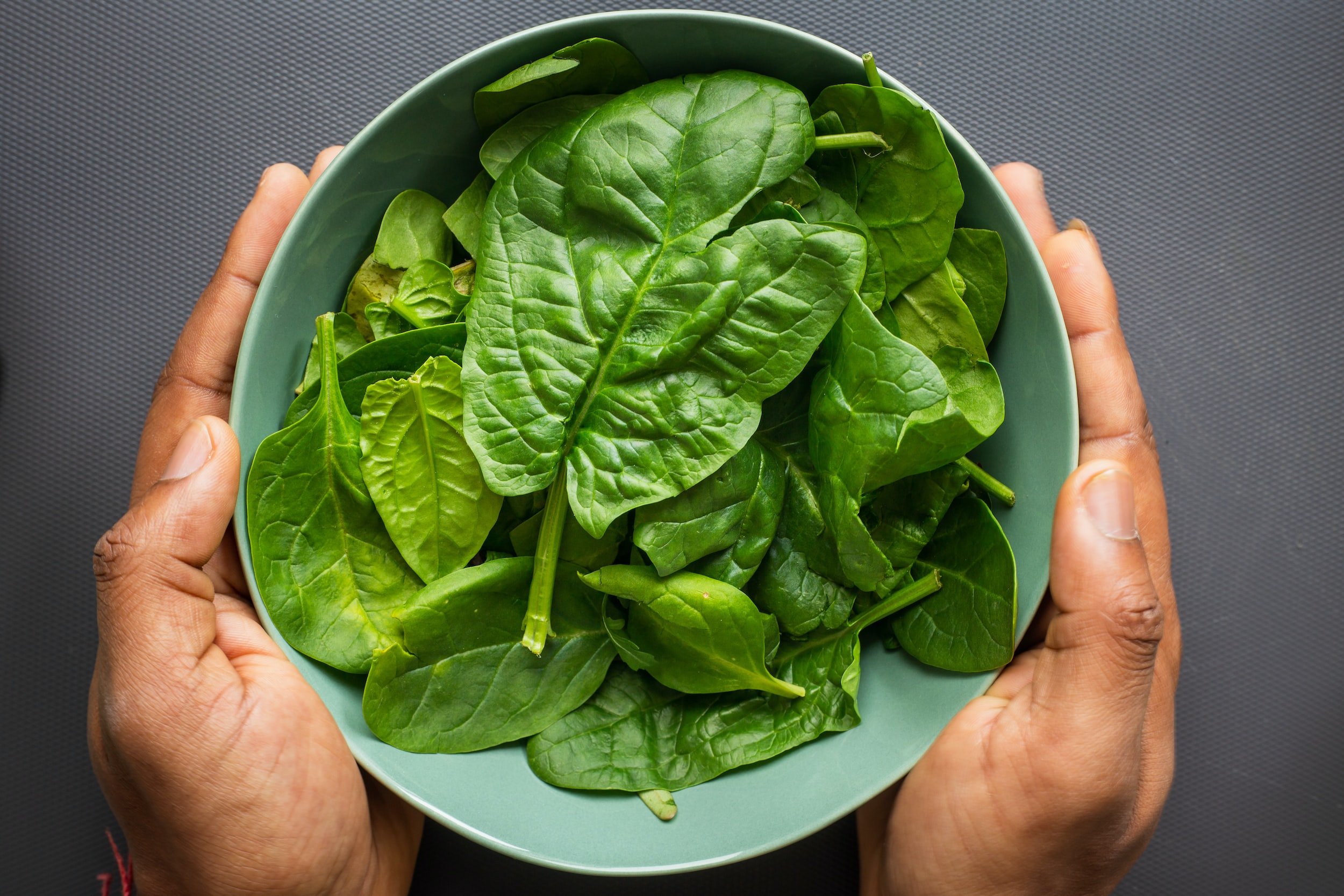 Harvesting and Enjoying Fresh, Nutritious Hydroponic Spinach