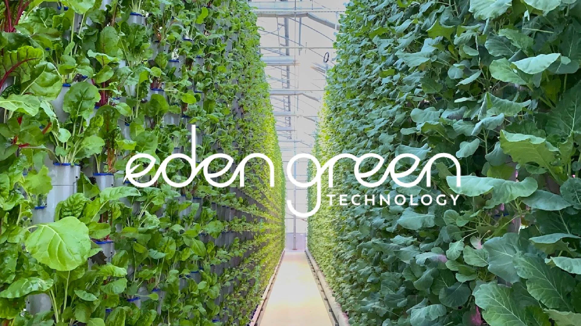 Our Vertical Hydroponic Greenhouses & Tech | Eden Green