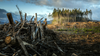 Deforestation and Forest Degradation: Causes, Impacts, Solutions | Eden ...