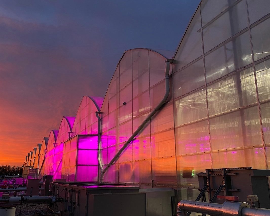 An Eden Green vertical greenhouse viewed from outside at sunset