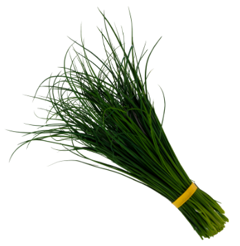 Herb Carousel.png