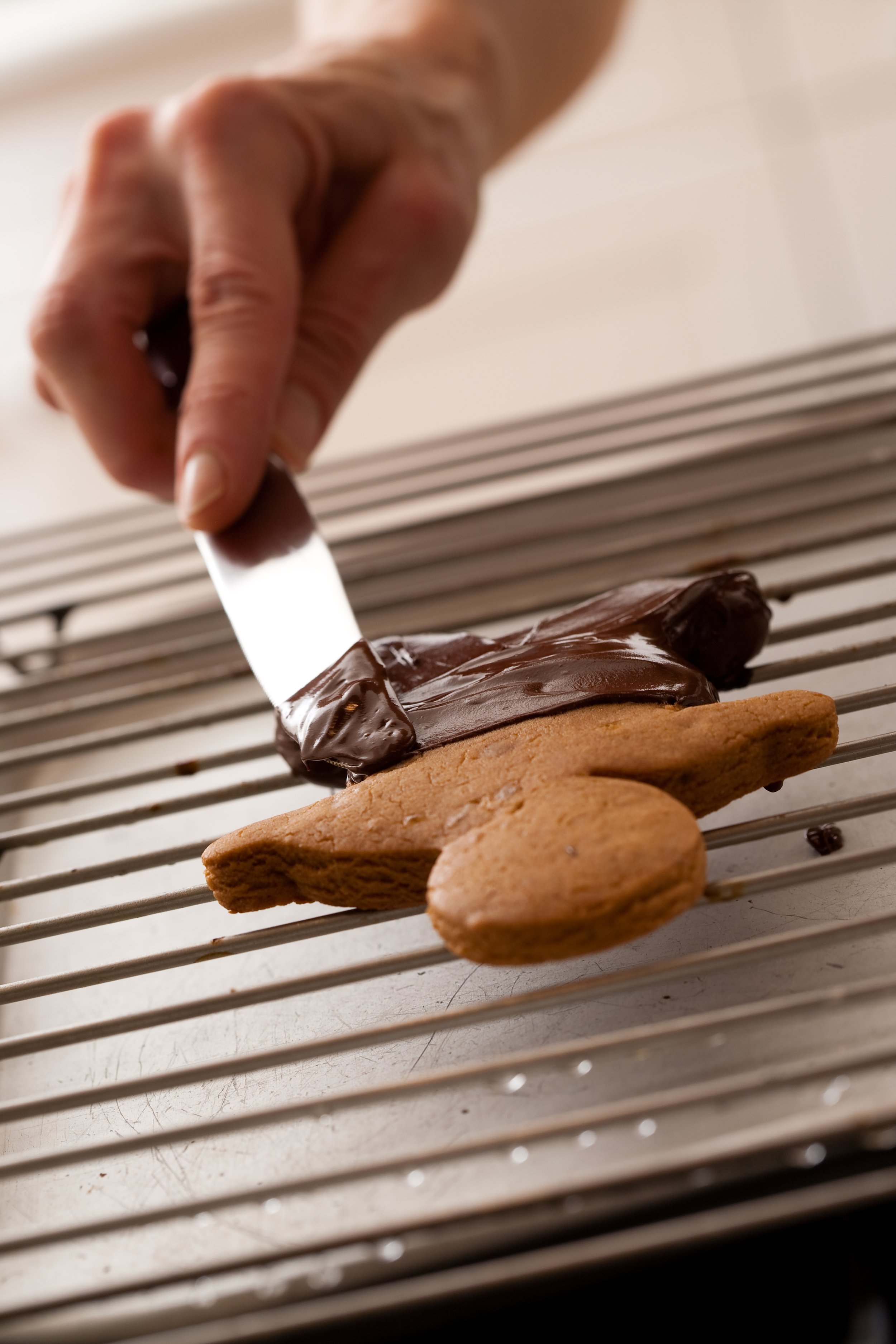 ANNA_Gingerbread_dipped_with_chocolate_and_sugar_8.jpg