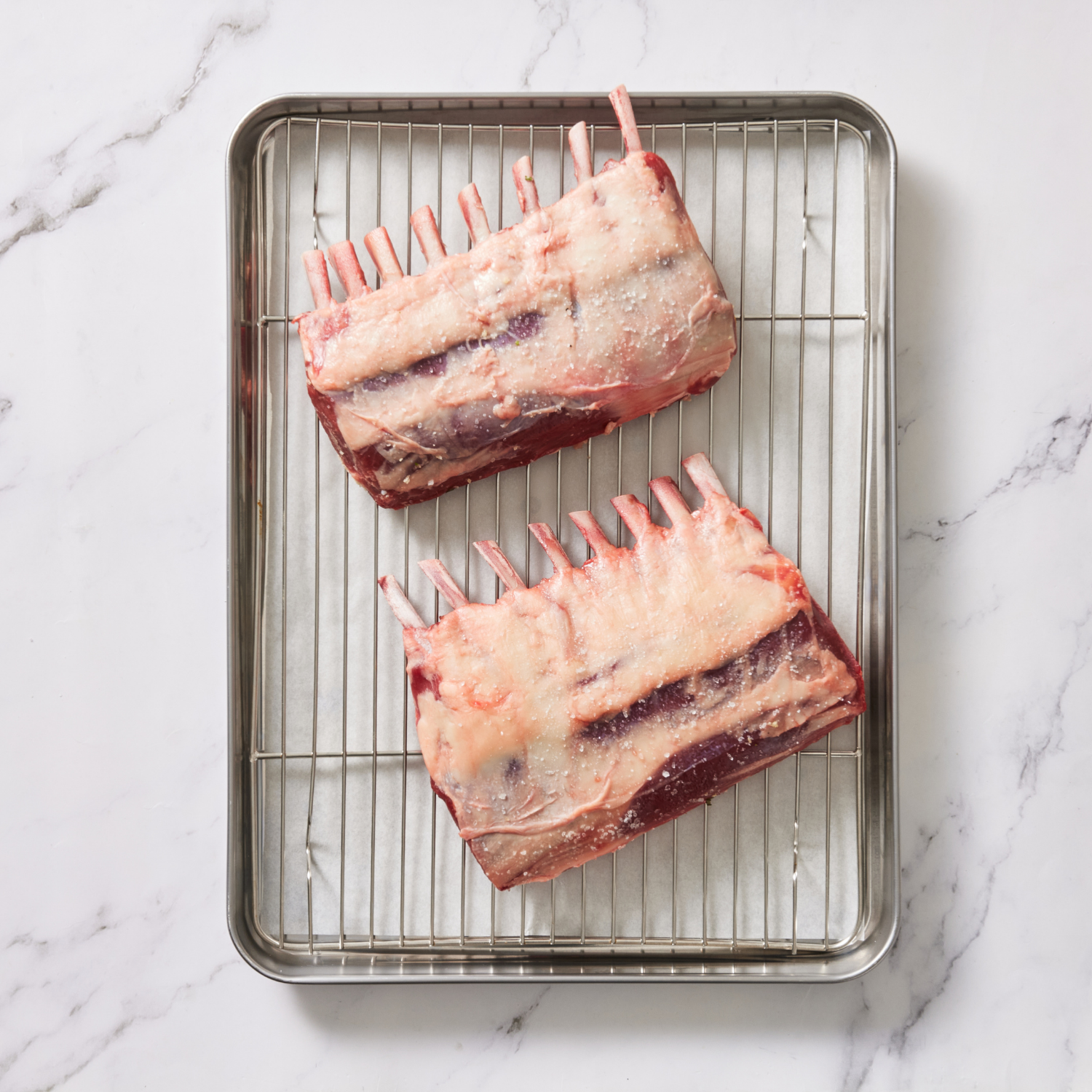 lamb 3.png