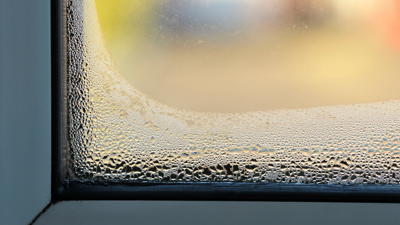 A window with moisture building in the corners