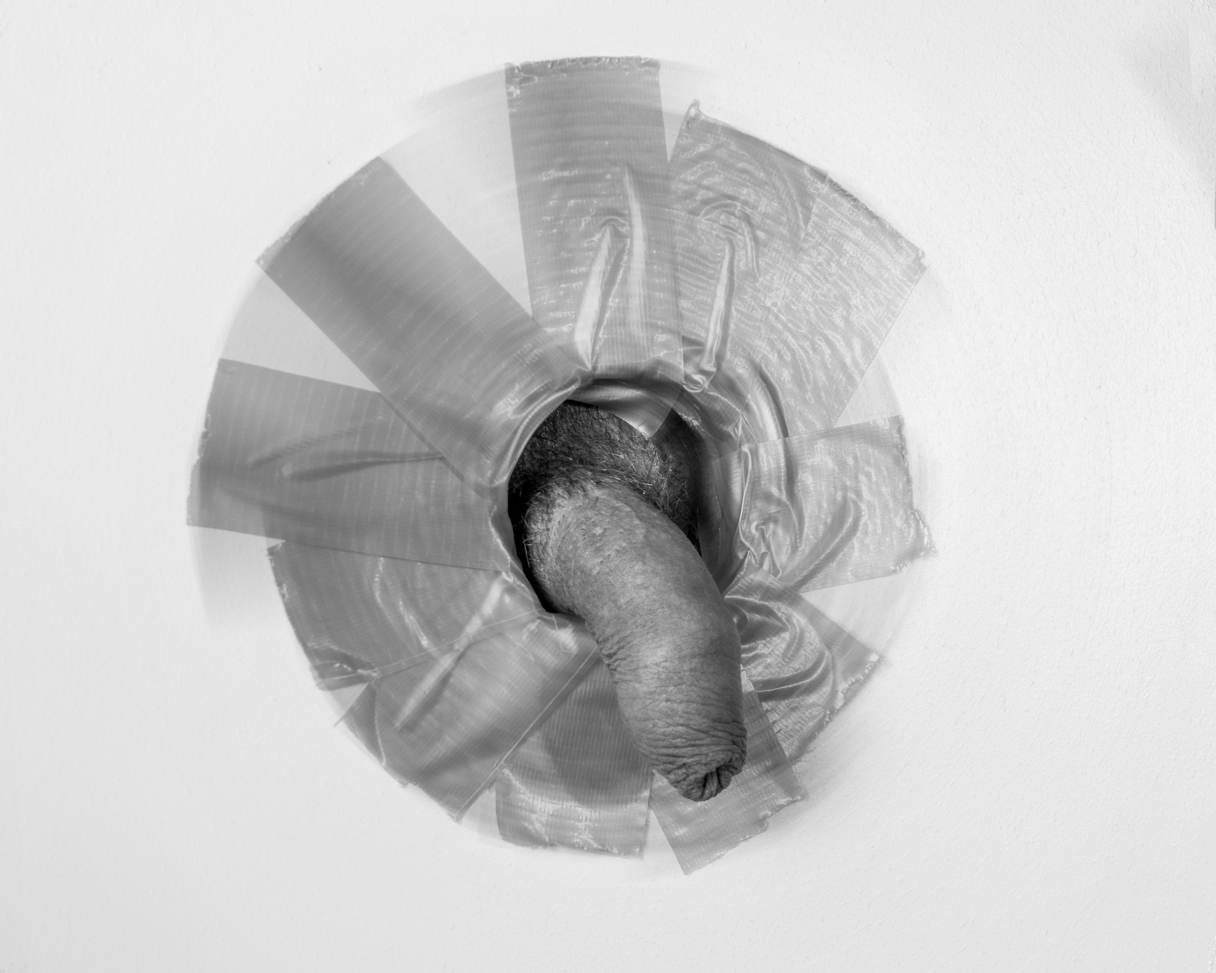 C + Flowers -  Photo by Apolo Gomez 2025-13.jpg