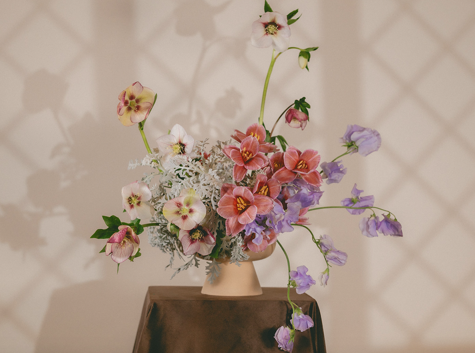 Screen Shot 2026-03-16 at 12.56.51 PM.png