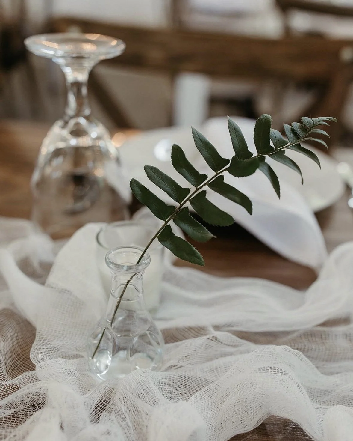 bud vase with fern stem